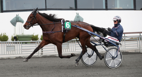 39 ston jagar finalplats