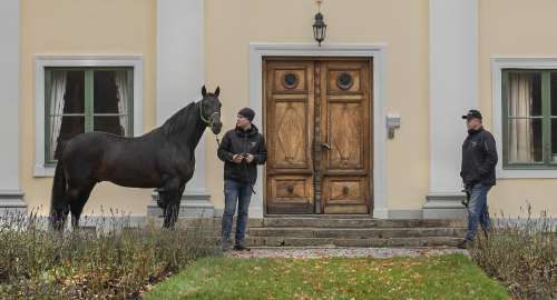 Delat i toppen med åtta vinster