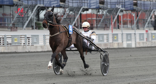 Auktionslopp öppnar Elitloppshelgen