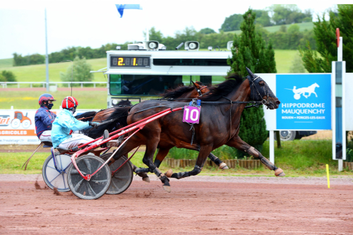 Comeback med mersmak