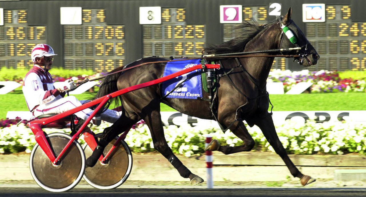 Dream Vacation och John Campbell. Foto Stefan Melander/Stalltz.se