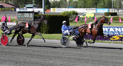 Ecurie D. tangerade världsårsbästa