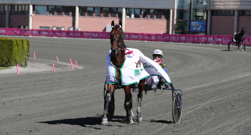 V86: Dumstrut eller geni?