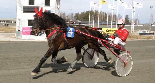 ”Alltid vågat gå min egen väg”