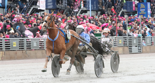 Vincennes-specialist i Elitkampen