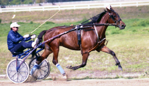 Rätt dag för lucköppning