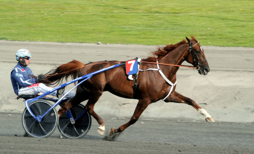 ”Vi går inte all in”