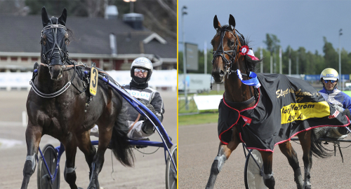 Berghs storstjärnor – och nästa generationen