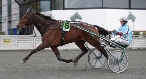 V86-tips: 2 starka spetsvinnare nyckeln till full pott