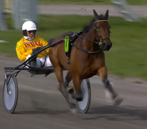 Den anställdes egna ord