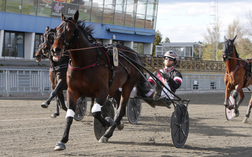 Tae Kwon Deo inbjuden