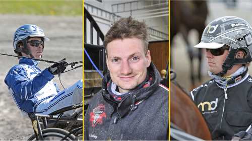 Elfte gången gillt för snackhästen?