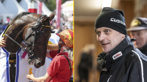 Startar i V75 – för att hitta formen