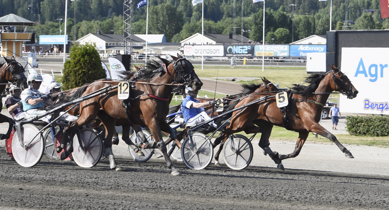 Barbro Kronos höll undan för en bra avslutande Malvha Ha. Båda stona ägs av Olof Brodin (Chartering) AB,Sollentuna. Foto Christer Norin/ALN