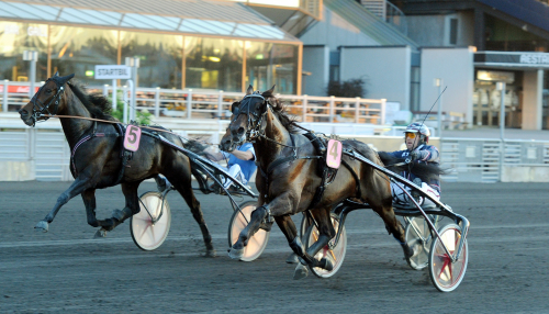 BC-lopp med flera topphästar