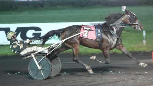 Intressanta fölston till Sverige