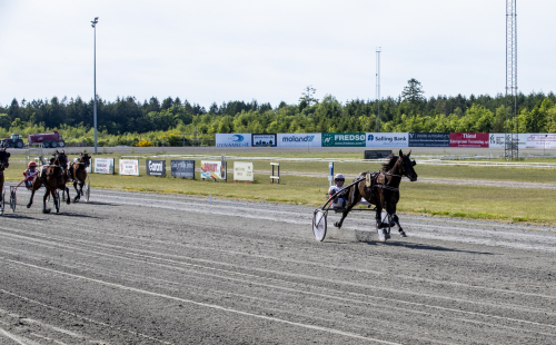 Heart of Steel utklassad