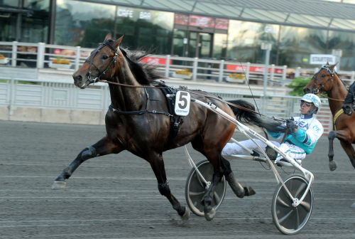Spårlottat till St Michel-Ajo