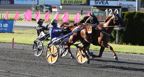 Mångmiljonärernas tuffa uppgift