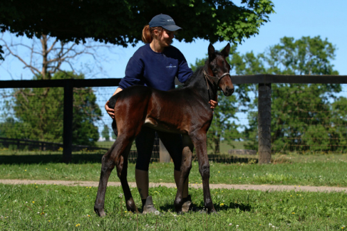 Toppston nyblivna mödrar