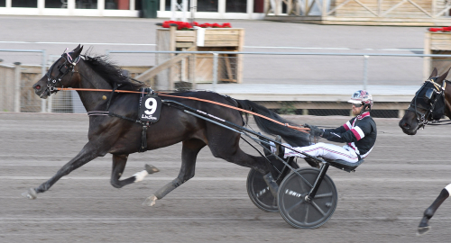 Mäktig spurt av Sashay My Way