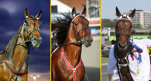 V75-tips: Jackpot, topplopp och starka spikar