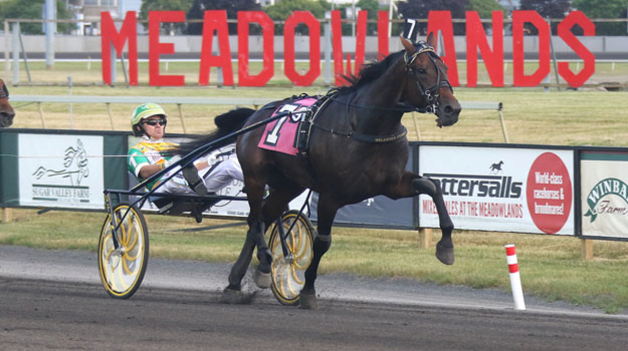 Hollywood Story och Tim Tetrick. Foto: Lisa Photo
