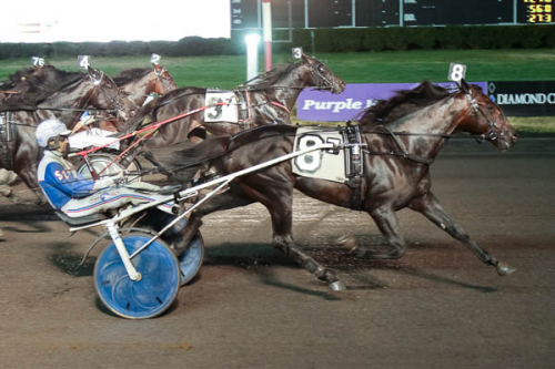 Blir det franskt i Hambletonian?