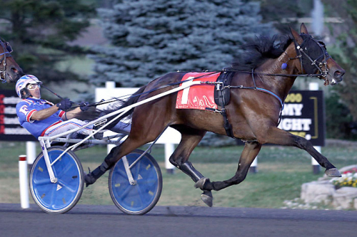 Angus Hall i blickfånget