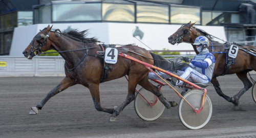 Auktionsdyringar bakom Walmanns dubbel