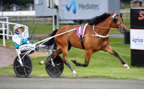 Finalfältet växer fram