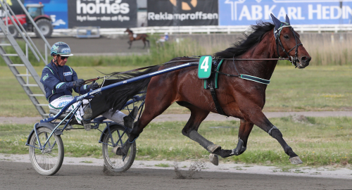 Diamanten klarade kvalet