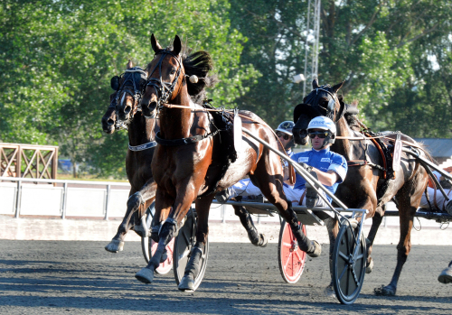 Inför V75: Hög svårighetsgrad