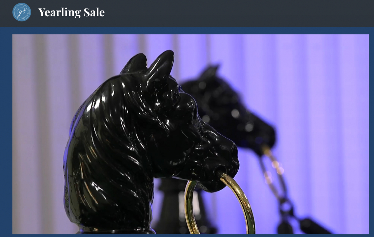 Åtta av ettåringarna som ropades åter på Sweden International Yearling Sale bjuds ut till försäljning igen.