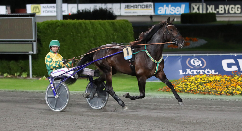 Drömdebut i ny regi
