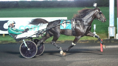 Blågul trippel på Meadowlands