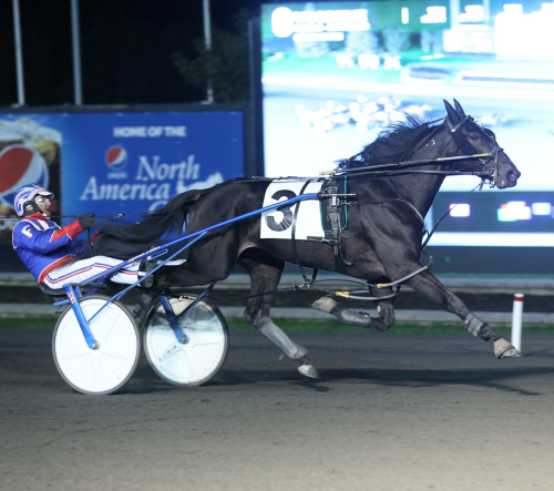 Fashion Frenzie till VM