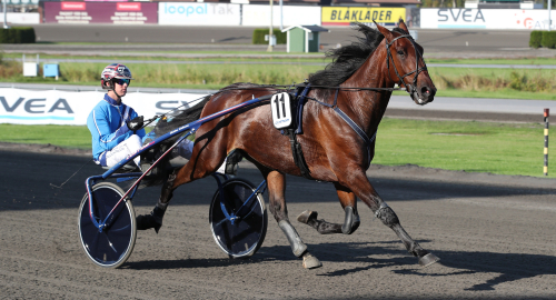 Drömstarten fortsätter?