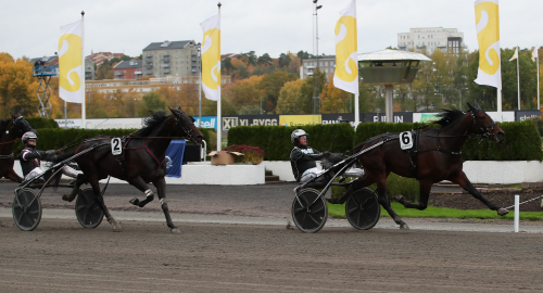 Hail Mary joggade hem årsdebuten