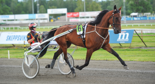 Inför V75: Frankrike får vänta