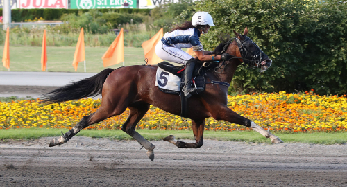 Tidiga tankar V75: Väl mycket gissningstävling?