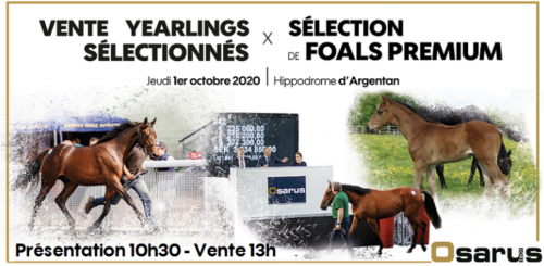 Follow You-föl blev dyrast