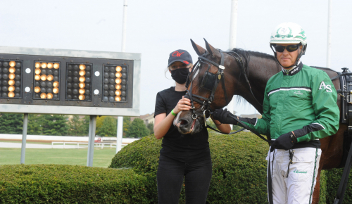 ”Årets Häst-kandidat” till salu