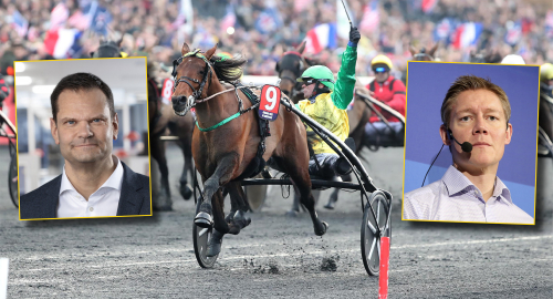 ”Sakfel och bristfällig beskrivning”