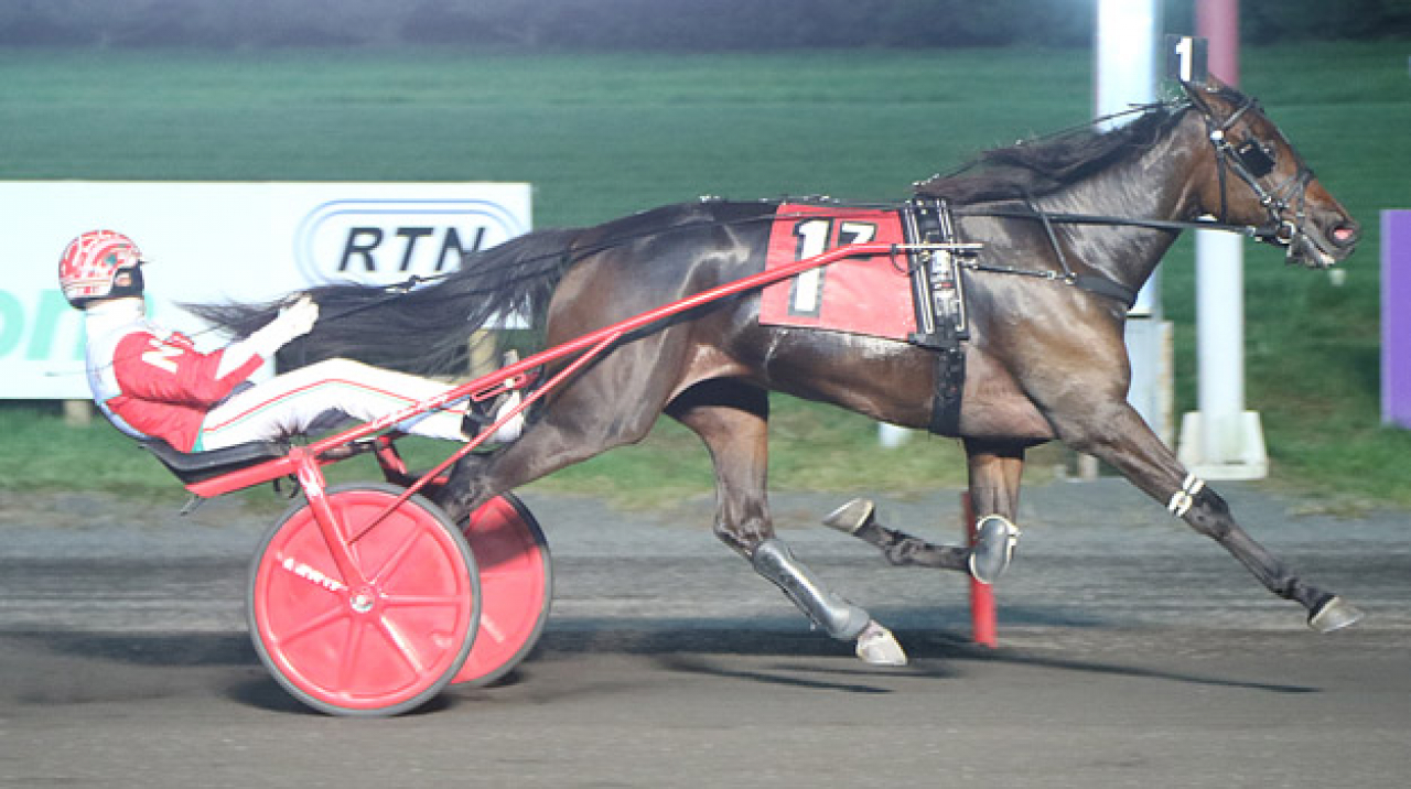Wet My Whistle och George Napolitano Jr. vid en tidigare vinst. Foto: Lisa Photo