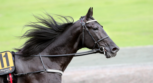 Andraplats för Alcoy
