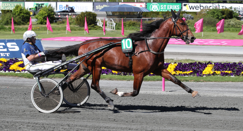 Dubbelmiljonär till Malmqvist
