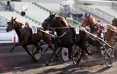 Svensk succé på Vincennes