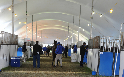 Bokslut med ett svenskköp