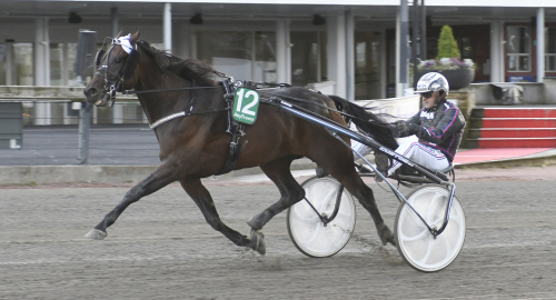 Succétränarens nya stjärna